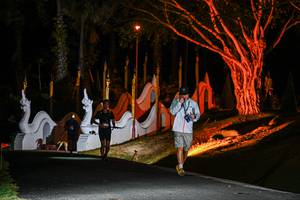 BIB: 
                            <button type="button" onclick="openModal(22511549)" class="btn btn-primary btn-sm float-right btn-popup" data-toggle="modal" data-target=".modal-high-quality">
                        <i class="fas fa-shopping-cart"></i> Add to Cart
                    </button>
                                            <button type="button" onclick="isThisMe(22511549, true)" class="btn btn-success btn-sm float-right btn-popup btn-isme hidden" data-toggle="tooltip" data-placement="bottom" title="นี่คือรูปของคุณใช่ไหม คลิกที่นี่เพื่อเอาเข้าอัลบั้ม">
                        <i class="fas fa-plus"></i> Add to album
                    </button>
                    <button type="button" onclick="isThisMe(22511549, false)" class="btn btn-warning btn-sm float-right btn-popup btn-isnotme hidden">
                        <i class="fas fa-ban"></i> Remove from album
                    </button>